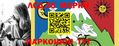 МДПВ Новозыбков