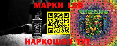 МДПВ Новозыбков