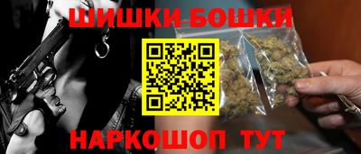 МДПВ Новозыбков