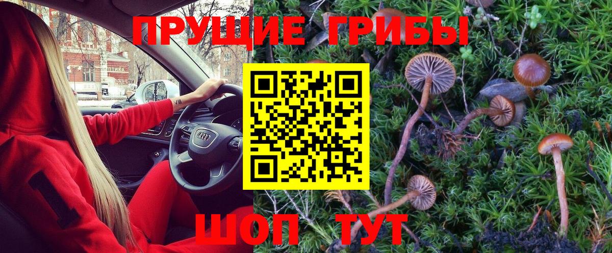 Псилоцибиновые грибы Psilocybine cubensis  Вход с VPN  наркотики  Топки 